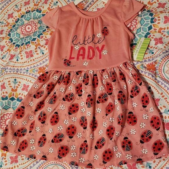 NWT peanut & ollie Toddler Dress Ladybugs/Daisies - Picture 1 of 4